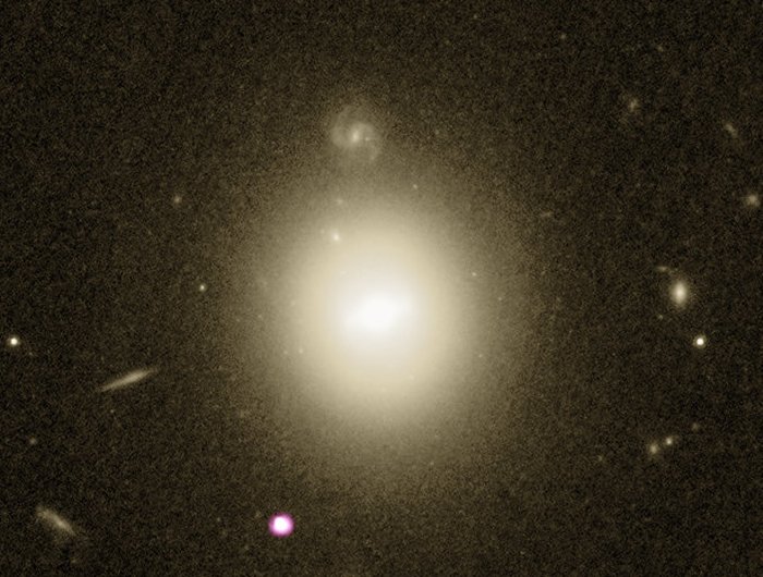 NASA/ESA Hubble Space Telescope viewofgalaxy 6dFGS gJ215022.2-055059– the large white-yellow blob at the centre of the image – and neighbouring galaxies, combined with X-ray observations of a black hole at the galaxy’s outskirts – the small white-purple dot to its lower left – obtained with NASA’s Chandra X-ray observatory. Optical: NASA/ESA/Hubble/STScI; X-ray: NASA/CXC/UNH/D. Lin et al..
