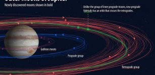 Jovian moons with the newly discovered ones shown in bold. The 'oddball,' called Valetudo after the Roman god Jupiter's great-granddaughter, has a prograde orbit that crosses the retrograde orbits. Credit: By Roberto Molar-Candanosa, courtesy of Carnegie Institution for Science.