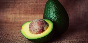 You Can Now Get Paid For Eating Avocadoes – Offer From Scientists