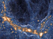in the universe. Orange regions host galaxies; blue structures are gas and dark matter. A University of California study demonstrated that opaque regions of the universe are like the large voids in the galaxy distribution in this image because too little light from the galaxies is able to reach such regions and render them transparent. Credit: TNG Collaboration