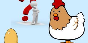 Quantum Physics Solves The "Chicken Or Egg" Paradox In A Surprising Way