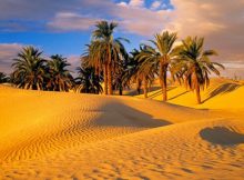 Sahara Can Be Green Again Thanks To New Wind And Solar Technology