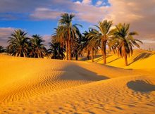 Sahara Can Be Green Again Thanks To New Wind And Solar Technology