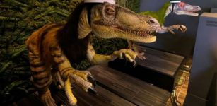 Robotel - World's First Hotel Staffed By Dinosaur Robots