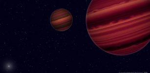 Artist's conception of the Epsilon Indi system. The two brown dwarfs orbit their common center of mass, which in turn orbits the much more distant primary component, a Sun-like star. By mapping the orbital motion of the brown dwarfs, the team was able to determine their masses. Much like our Solar System's giant planets, brown dwarfs are thought to have cloud belts that encircle the entire object and give it a striped appearance. Illustration is by Roberto Molar Candanosa and Sergio Dieterich, courtesy of the Carnegie Institution for Science.