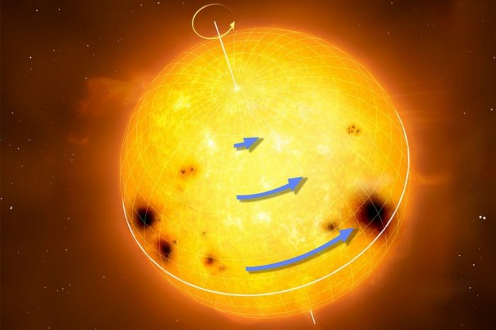 Sun-like stars rotate differentially, with the equator rotating faster than the higher latitudes. The blue arrows in the figure represent rotation speed. Differential rotation is thought to be an essential ingredient for generating magnetic activity and starspots. Credit: MPI for Solar System Research/MarkGarlick.com