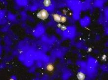 Study reveals the presence of a hitherto undetected component of the universe: large masses of gas surrounding distant galaxies. Image cr edit: Instituto de Astrofísica de Canarias (IAC)