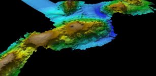 Incredible Lost Volcanic Underwater World Discovered Off The Tasmanian Coast