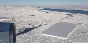 2 rectangular iceberg photographed from an IceBridge flight on 16 Oct 2018 Credits: NASA/Jeremy Harbeck