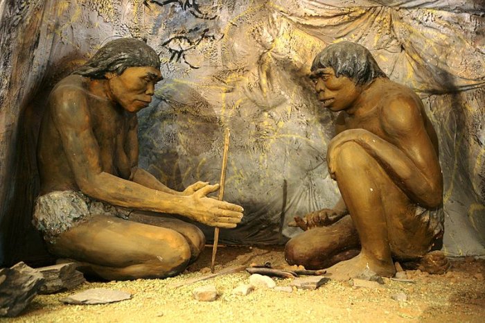 Homo Erectus
