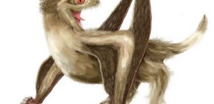 Reconstruction of the studied Daohugou pterosaur, with four different feather types over its head, neck, body, and wings, and a generally ginger-brown colour. Reconstruction by Yuan Zhang