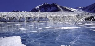 Surprising Discovery Beneath Frozen Antarctic Lake – How Did These Creatures Get There?