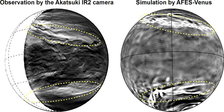 Figure 1: (left) the lower clouds of Venus observed with the Akatsuki IR2 camera (after edge-emphasis process). The bright parts show where the cloud cover is thin. You can see the planetary-scale streak structure within the yellow dotted lines. (right) The planetary-scale streak structure reconstructed by AFES-Venus simulations. The bright parts show a strong downflow. (Partial editing of image in the Nature Communications paper. CC BY 4.0