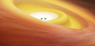 Artist’s impression of a warped disk around a protostar. ALMA observed the protostar IRAS04368+2557 in the dark cloud L1527 and discovered that the protostar has a disk with two misaligned parts. Credit: RIKEN