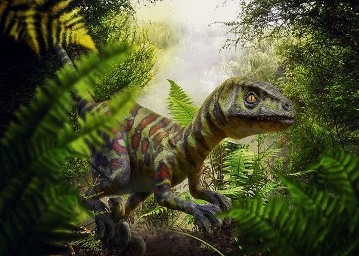 The incomplete skeleton of this oviraptorosaur was discovered in the Gobi Desert. Image via yahoo.com