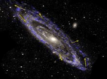 Stellar motions in the Andromeda galaxy