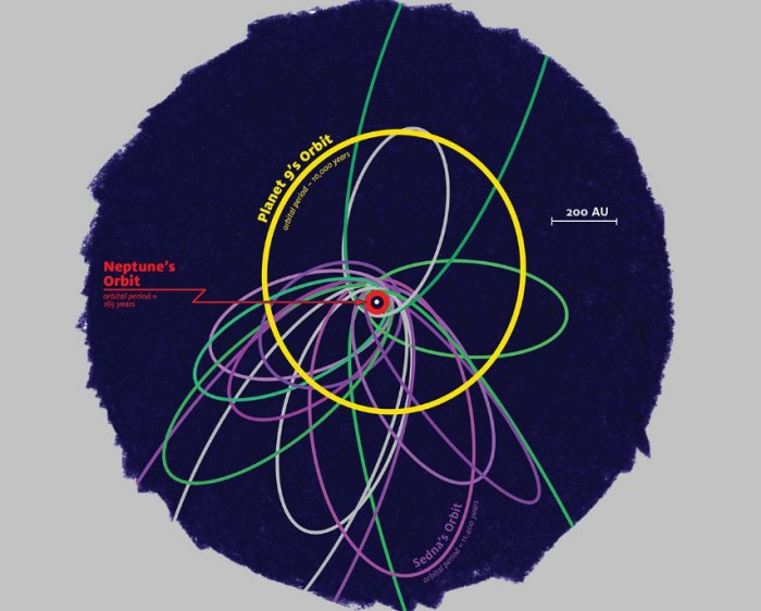 This illustration depicts orbits of distant Kuiper Belt objects and Planet Nine. Orbits rendered in purple are primarily controlled by Planet Nine's gravity and exhibit tight orbital clustering. Green orbits, on the other hand, are strongly coupled to Neptune, and exhibit a broader orbital dispersion. Credit: James Tuttle Keane/Caltech