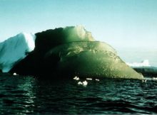 Why Are Some Antarctic Icebergs Green?