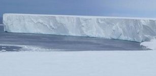 The Ross Polynya where solar heat is absorbed by the ocean. The vertical wall of the ice front stretches a distance of 600 km. Credit: Poul Christoffersen