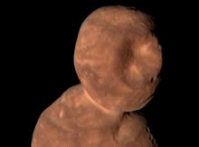 Ultima Thule