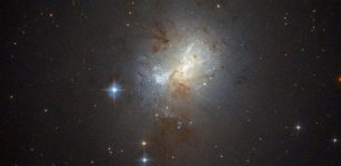 Located about 30 million light-years away in the constellation of Pyxis (The Compass), ESO 495-21 is a dwarf starburst galaxy — this means that it is small in size, but ablaze with rapid bursts of star formation. Starburst galaxies form stars at exceptionally high rates, creating stellar newborns of up to 1000 times faster than the Milky Way.