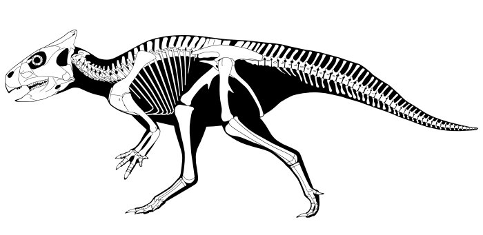 Small Horned Dinosaur From China Walked On Two Feet - MessageToEagle.com