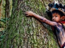 End The Amazon Apocalypse – Sign The Petition!