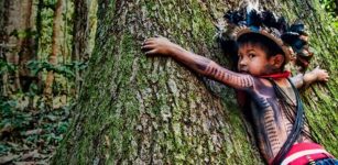 End The Amazon Apocalypse – Sign The Petition!