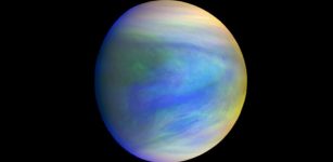 A composite image of the planet Venus as seen by the Japanese probe Akatsuki. IMAGE FROM THE AKATSUKI ORBITER, BUILT BY INSTITUTE OF SPACE AND ASTRONAUTICAL SCIENCE/JAPAN AEROSPACE EXPLORATION AGENCY