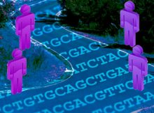 Hidden Genetic Mechanisms Reveal Features That Make Us Unique