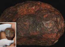 Never-Before-Seen Mineral Discovered Inside Mysterious Wedderburn Meteorite In Australia