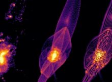 A simulation of early galaxy formation under three dark matter scenarios. In a universe filled with cold dark matter, early galaxies would first form in bright halos (far left). If dark matter is instead warm, galaxies would form first in long, tail-like filaments (center). Fuzzy dark matter would produce similar filaments, though striated (far right), like the strings of a harp.