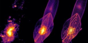 A simulation of early galaxy formation under three dark matter scenarios. In a universe filled with cold dark matter, early galaxies would first form in bright halos (far left). If dark matter is instead warm, galaxies would form first in long, tail-like filaments (center). Fuzzy dark matter would produce similar filaments, though striated (far right), like the strings of a harp.