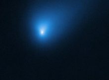 On 12 October 2019, the NASA/ESA Hubble Space Telescope observed Comet 2I/Borisov at a distance of approximately 420 million kilometres from Earth. The comet is believed to have arrived here from another planetary system elsewhere in our galaxy. CREDIT NASA, ESA, D. Jewitt (UCLA)