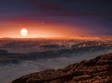 Three suns in the sky of the nearest exoplanet Proxima Centauri b (artist's impression). Image: ESO/M. Kornmesser