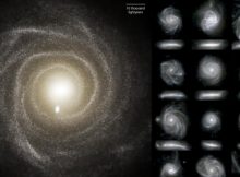 Images of the optical light emitted by the stars of 16 galaxies from the TNG50 simulation. Each galaxy is seen face-on or from the top (top sub panels), and edge-on or from the side (lower sub panels). Credit: D. Nelson (MPA) and the IllustrisTNG team