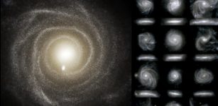 Images of the optical light emitted by the stars of 16 galaxies from the TNG50 simulation. Each galaxy is seen face-on or from the top (top sub panels), and edge-on or from the side (lower sub panels). Credit: D. Nelson (MPA) and the IllustrisTNG team