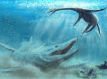 Rare Bones Of Horrifying Giant Jurassic Sea Monster Discovered In Poland
