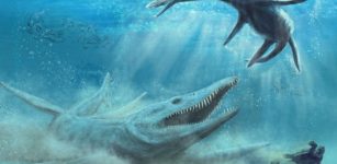 Rare Bones Of Horrifying Giant Jurassic Sea Monster Discovered In Poland