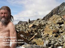Final Journey Of Ötzi Iceman: More Clues Found In Frozen Moss