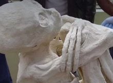 Mystery Of Nazca’s Controversial Three-Fingered Mummies Continues - Attempt To Confiscate The Ancient Remains!