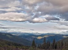 Frightening And Unexplained Sounds Reported In The Canadian Forest