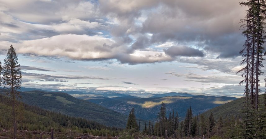 Frightening And Unexplained Sounds Reported In The Canadian Forest