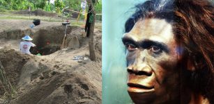 Last Homo Erectus Lived 117,000 Years Ago At Ngandong