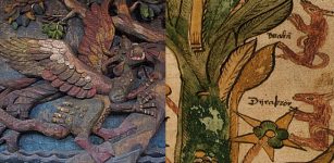 Magical And Malicious Creatures That Prey Upon Yggdrasil In Norse Beliefs