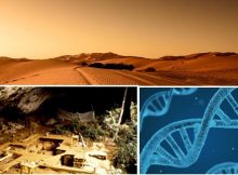 Ancient DNA Illuminates Unknown 'Ghost' Populations In Sub-Saharan Africa