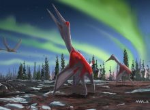 Giant Flying Reptile Cryodrakon Boreas Was One Of The Largest Ever Flying Animals