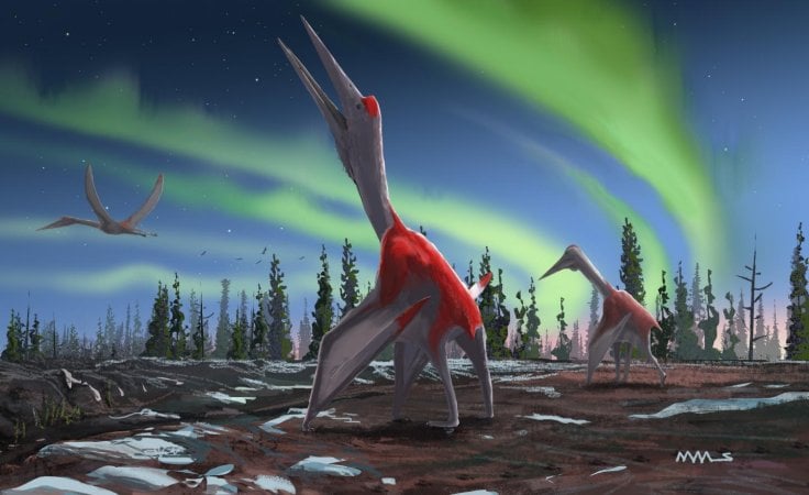 Giant Flying Reptile Cryodrakon Boreas Was One Of The Largest Ever Flying Animals