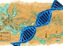 Genetic Fingerprints Of Unknown Species Discovered In Human DNA