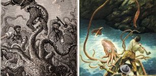 Legendary Giant Squid’s Genome Revealed – Why Is It So Scarily Big?